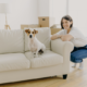 Reasonable Accommodations & Service Animals in California Housing